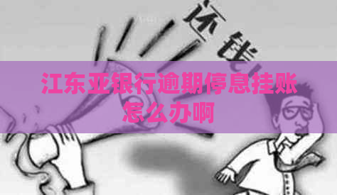 江东亚银行逾期停息挂账怎么办啊