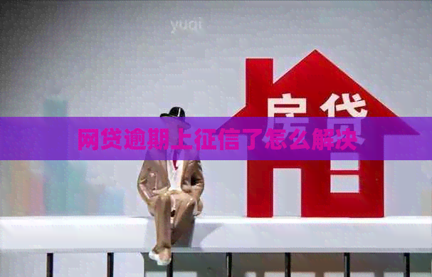 网贷逾期上了怎么解决