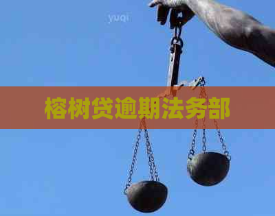 榕树贷逾期法务部