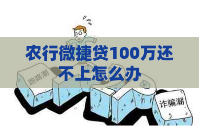 农行微捷贷100万还不上怎么办