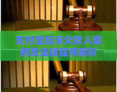 支付宝起诉欠款人案例及法律程序解析