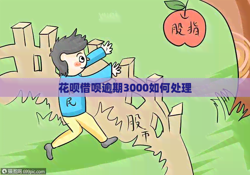 花呗借呗逾期3000如何处理