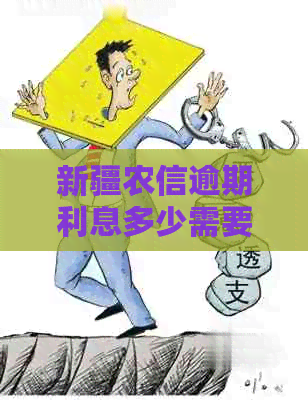 新疆农信逾期利息多少需要了解的事项