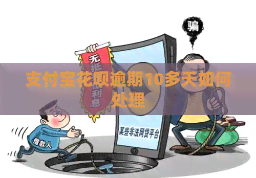 支付宝花呗逾期10多天如何处理