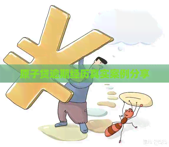 原子贷逾期经历真实案例分享