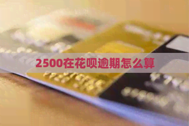 2500在花呗逾期怎么算
