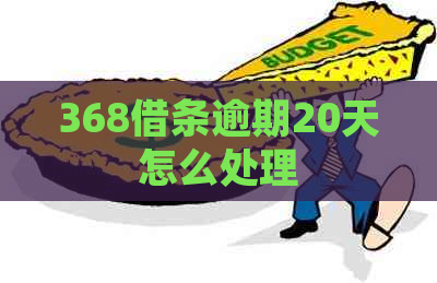 368借条逾期20天怎么处理