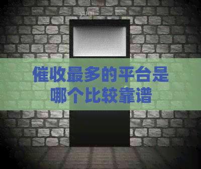 最多的平台是哪个比较靠谱