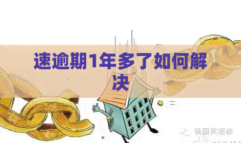 速逾期1年多了如何解决