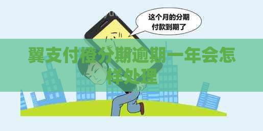 翼支付橙分期逾期一年会怎样处理
