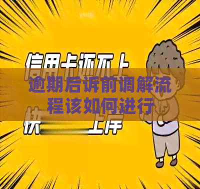 逾期后诉前调解流程该如何进行