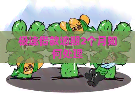 极速借款逾期2个月如何处理