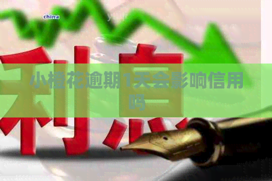 小橙花逾期1天会影响信用吗