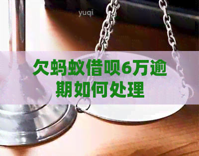 欠蚂蚁借呗6万逾期如何处理