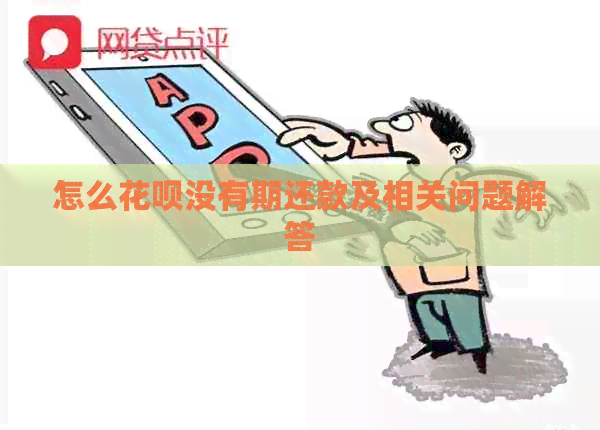 怎么花呗没有期还款及相关问题解答