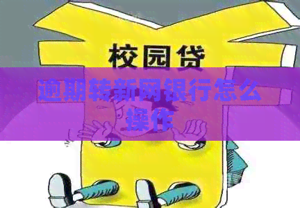 逾期转新网银行怎么操作