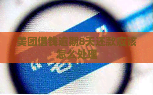 美团借钱逾期8天还款应该怎么处理