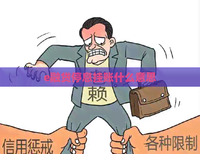 e融贷停息挂账什么意思
