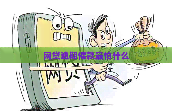 网贷逾期催款最怕什么