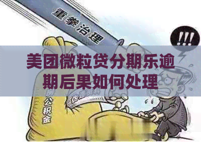 美团微粒贷逾期后果如何处理