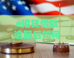 e招贷借款逾期后如何协商还款