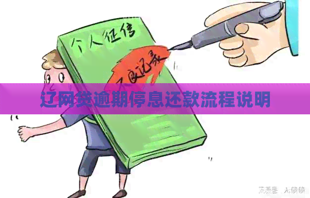 辽网贷逾期停息还款流程说明
