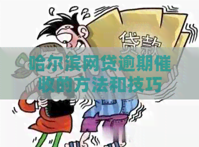 哈尔滨网贷逾期的方法和技巧