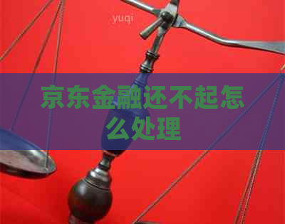 京东金融还不起怎么处理
