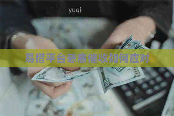 易借平台恶意如何应对