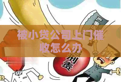 被小贷公司上门怎么办