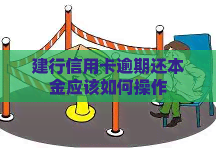 建行信用卡逾期还本金应该如何操作
