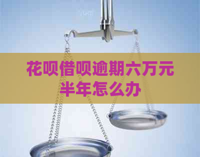 花呗借呗逾期六万元半年怎么办