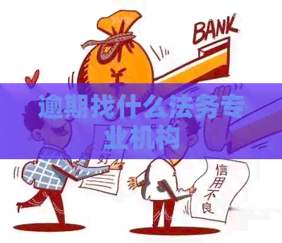 逾期找什么法务专业机构