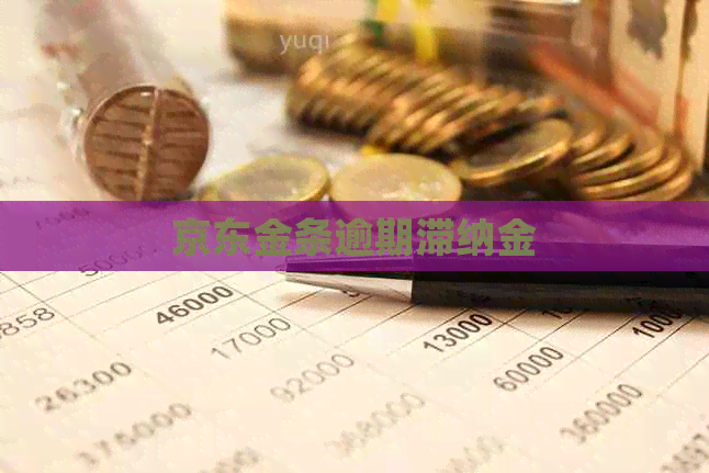 京东金条逾期滞纳金