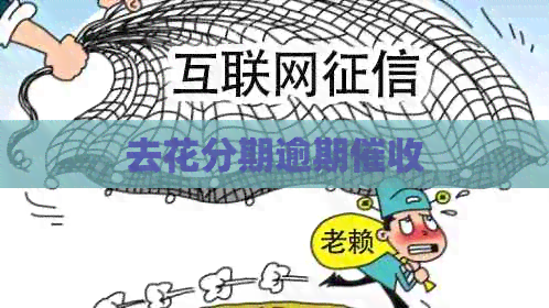 去花分期逾期