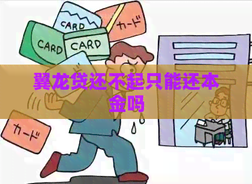 翼龙贷还不起只能还本金吗