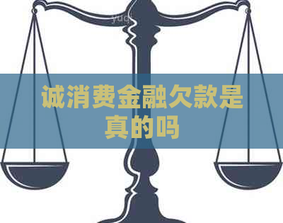 诚消费金融欠款是真的吗