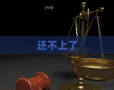 还不上了