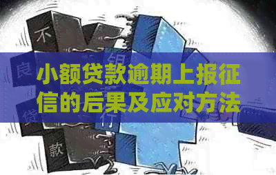 小额贷款逾期上报的后果及应对方法