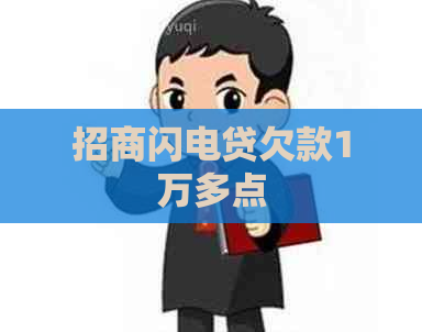 招商闪电贷欠款1万多点