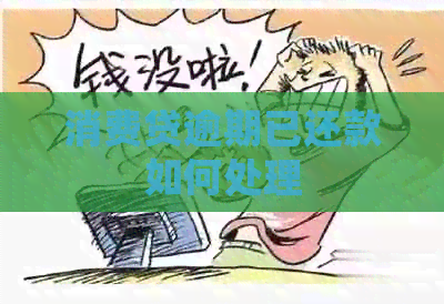 消费贷逾期已还款如何处理