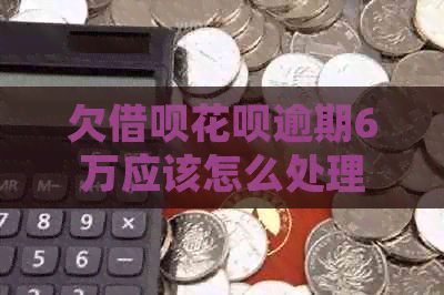 欠借呗花呗逾期6万应该怎么处理