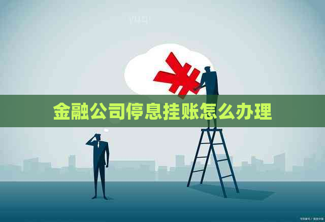 金融公司停息挂账怎么办理