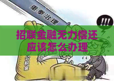 招联金融无力偿还应该怎么办理
