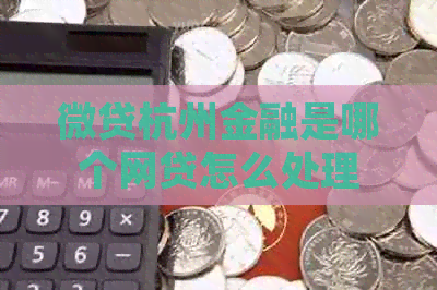 微贷杭州金融是哪个网贷怎么处理