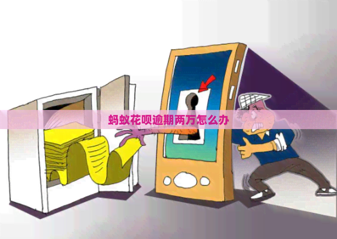 蚂蚁花呗逾期两万怎么办