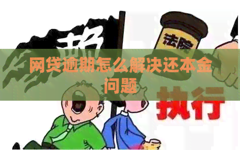 网贷逾期怎么解决还本金问题
