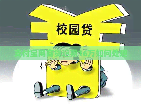 支付宝网商贷逾期16万如何处理