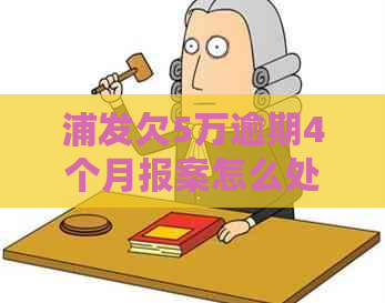 浦发欠5万逾期4个月报案怎么处理