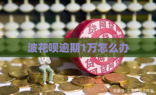 波花呗逾期1万怎么办 波花呗逾期1万怎么办